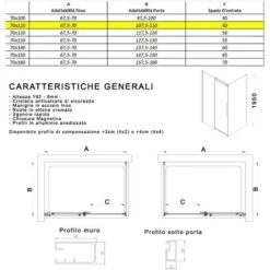 Box Doccia Due Lati 195h 8mm Fume Nero Anticalcare Porta Scorrevole Euclide, Seleziona Misura 70x110 -Hansgrohe Negozio 53735013 4