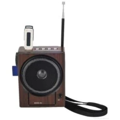 Trade Shop - Radio Fm Karaoke Usb Cassa Speaker Mp3 Sd Ricaricabile Con Torcia E Microfono -Hansgrohe Negozio 95109224 3